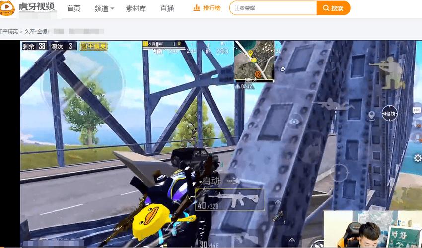 和平精英《诛仙》辅助